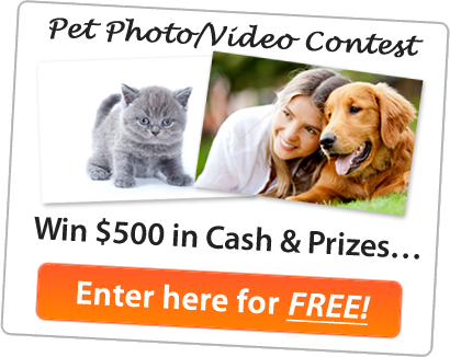 Pet Contest: Win $500 in Cash & Prizes…